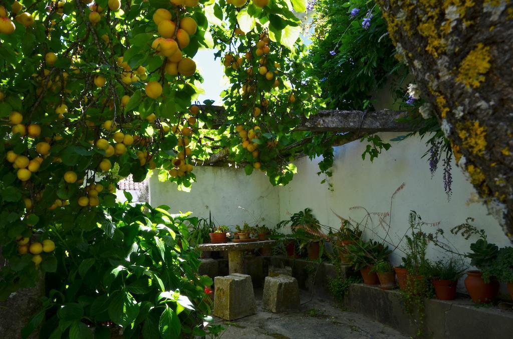 Villa Casa Do Sobral Óbidos Habitación foto