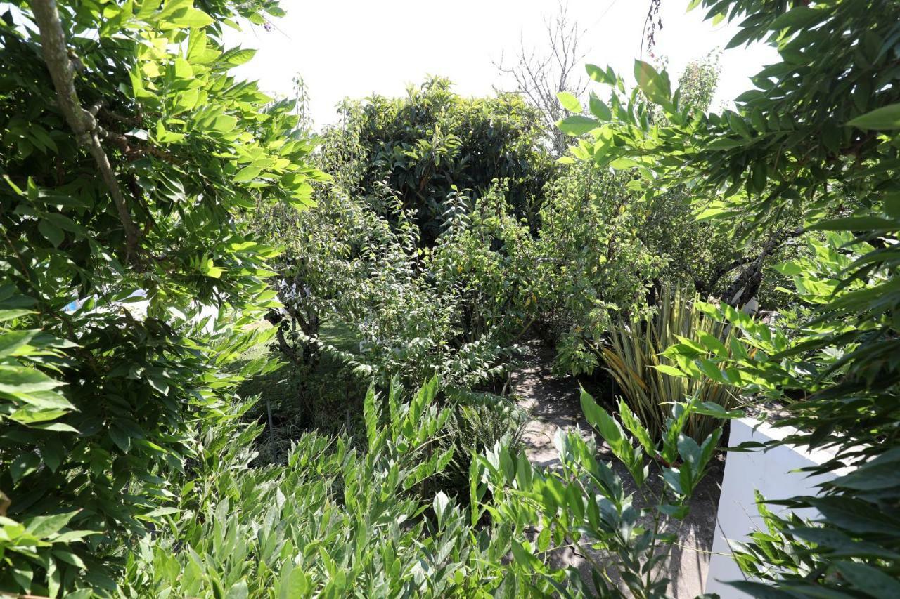 Villa Casa Do Sobral Óbidos Exterior foto
